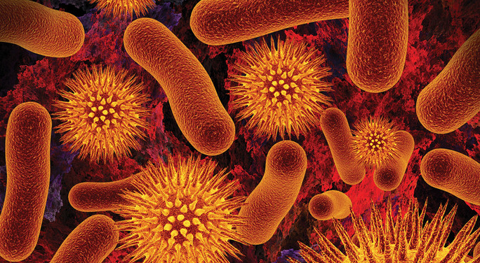 Microscopic view of Micro-Organisms 1