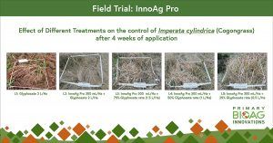 Effect of Different Treatments on the control of Iperata cylindrica (Cogongrass) after 4 weeks of application