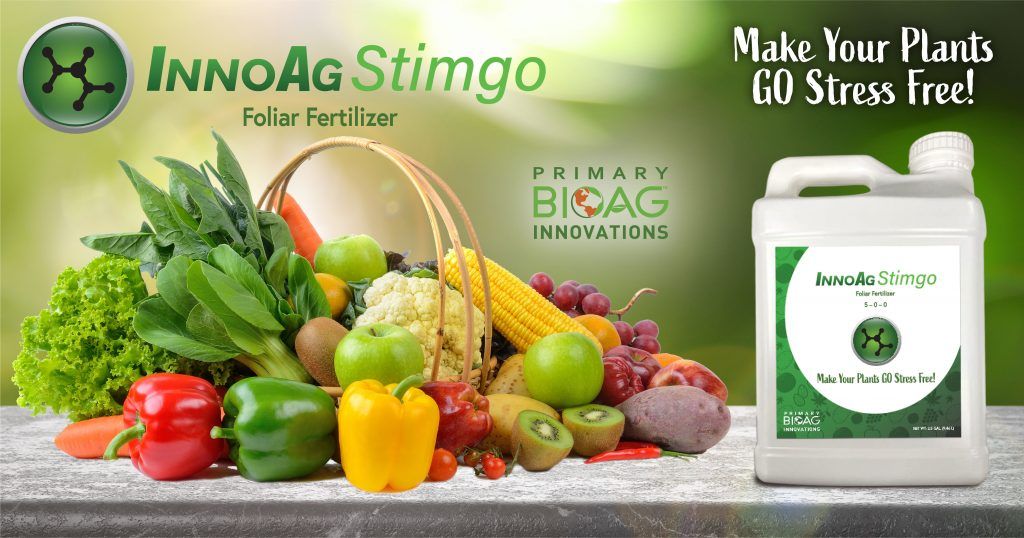 InnoAg Stimgo Product Image 